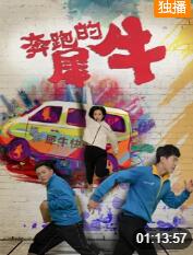 奔跑的犀牛(全集)