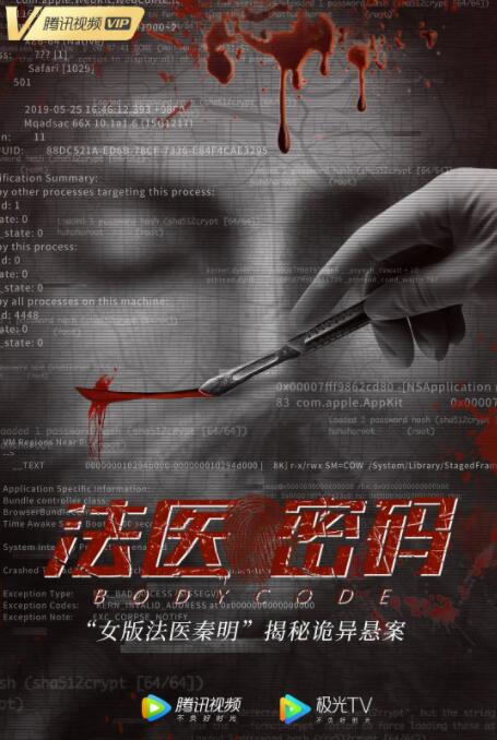 法医密码(全集)