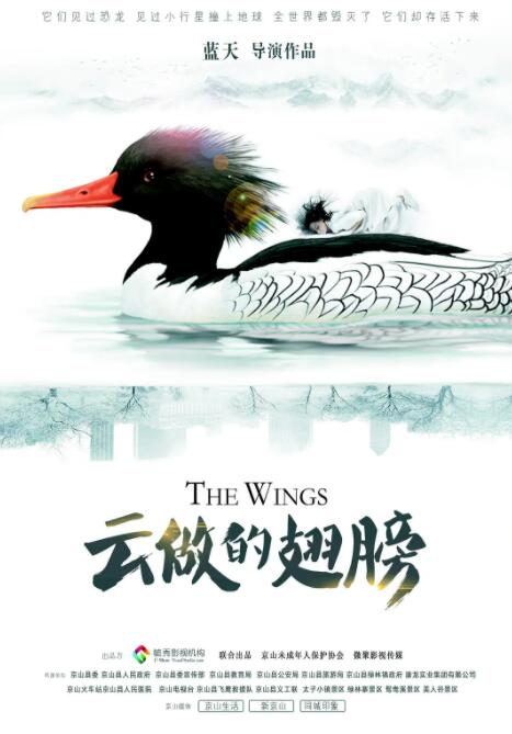 云做的翅膀(全集)