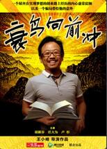 衰鸟向前冲(全集)