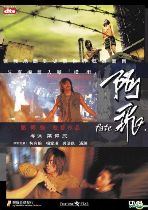 阿飞(全集)