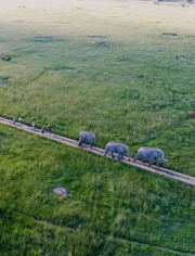 大自然的守护者(全集)