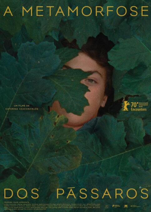 鸟类变形记(全集)