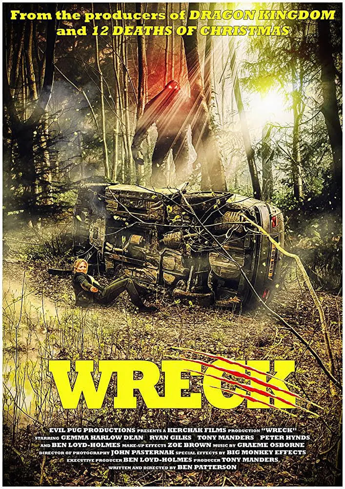 车祸惊魂 2020(全集)