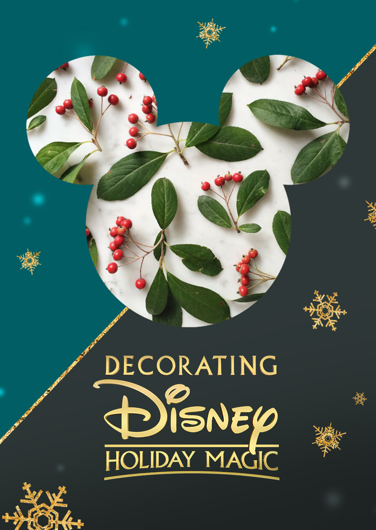 奇妙迪士尼：魔法圣诞(全集)