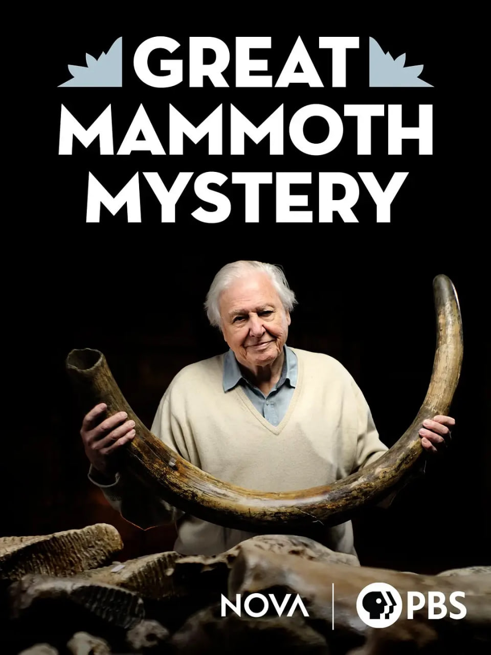 爱登堡与猛犸墓地(全集)