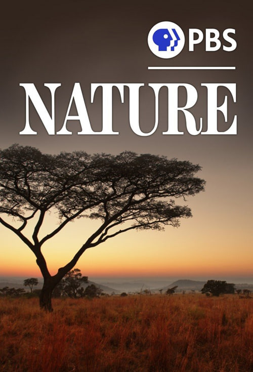 自然 第四十二季(全集)