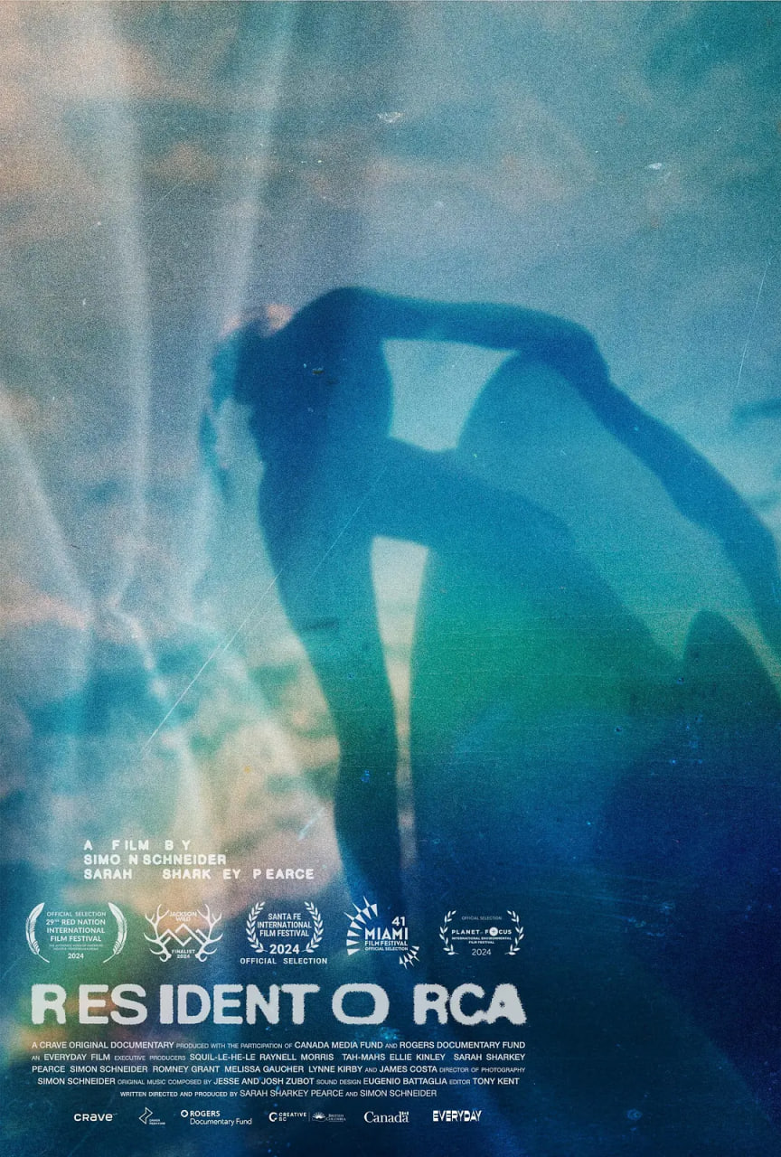 常驻虎鲸(全集)