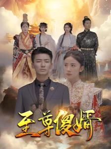 至尊傻婿第1-20集