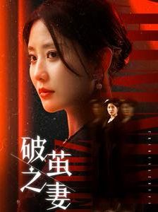 破茧之妻 婚姻的救赎(全集)