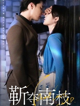 靳夺南枝 甜欲肆吻(全集)