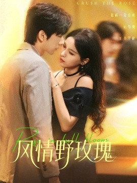 风情野玫瑰 揉碎玫瑰(全集)