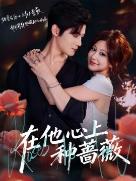 在他心上种蔷薇(全集)