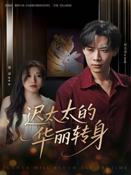 迟太太的华丽转身(全集)