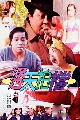 通天拍档HD国语