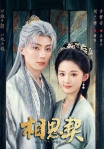 相思契(全集)